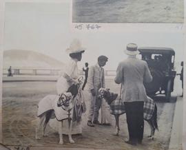 Passeio com cães na Exposição de 1908